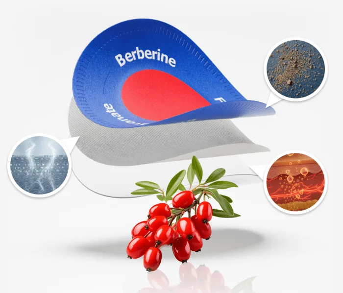 Purisaki Berberine Patch — 30-Day Program USA